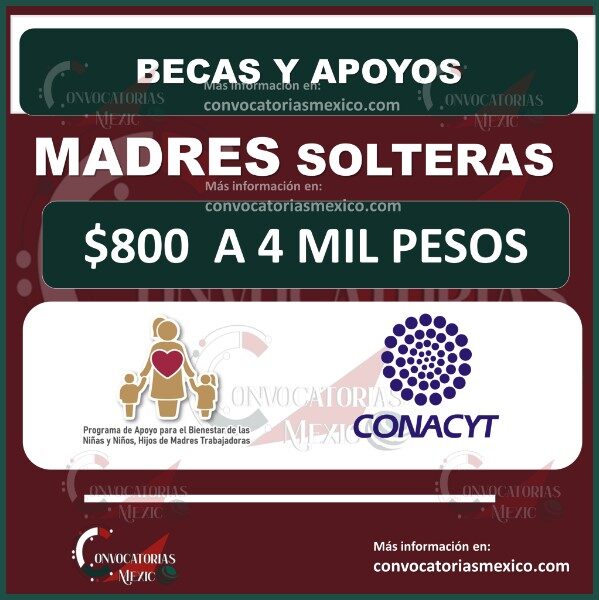 ayudas-para-madres-solteras-en-georgia