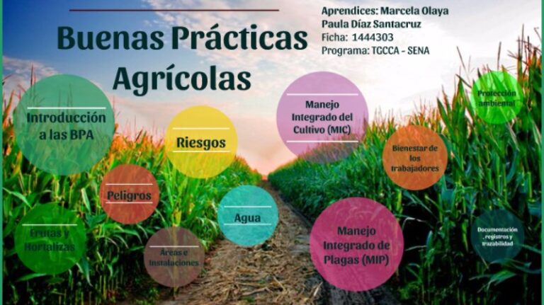 buenmedico.info-de-los-trabajos-agricolas