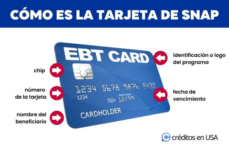 cada-cuanto-se-recarga-la-tarjeta-ebt