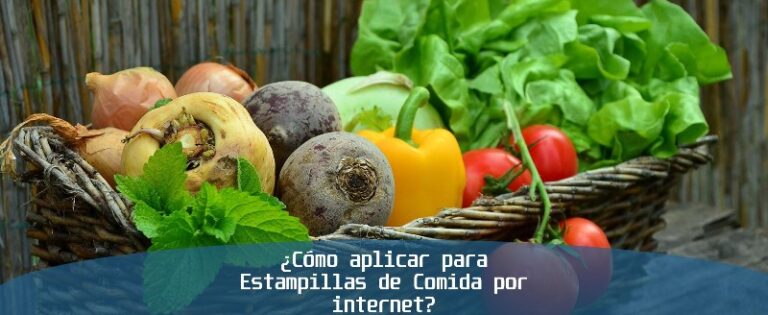como-aplicar-para-estampillas-de-comida-por-internet-en-espanol