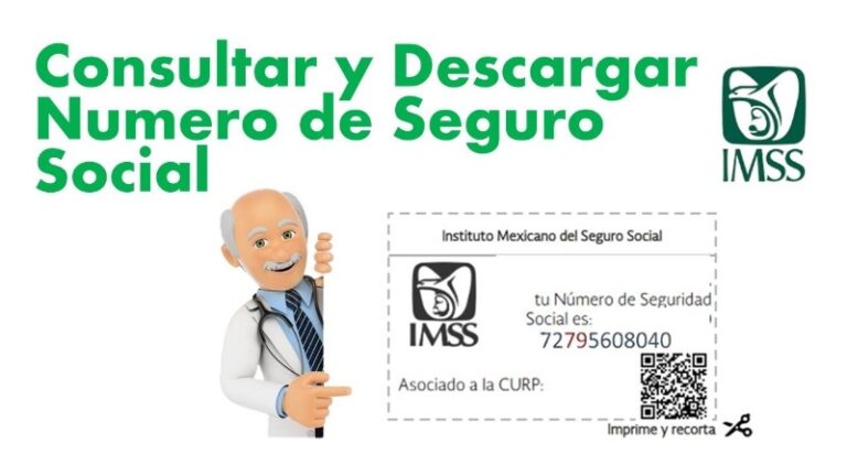 como-puedo-saber-el-numero-de-mi-seguro-social