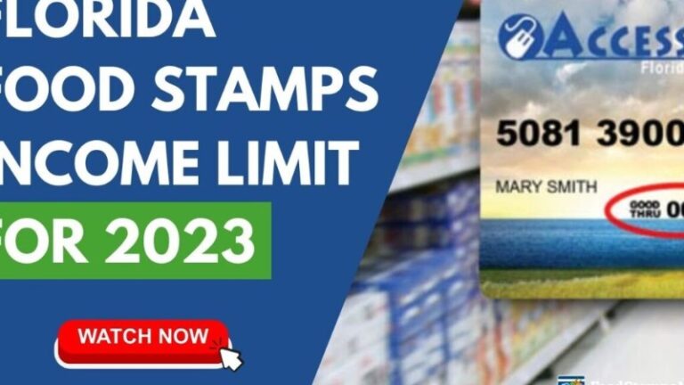 como-renovar-los-food-stamps-online-florida