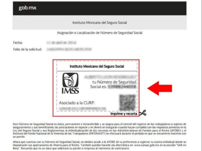como-saber-si-mi-seguro-social-esta-activo