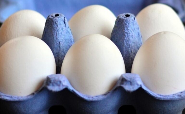 cuanto-cuesta-una-docena-de-huevos-en-estados-unidos