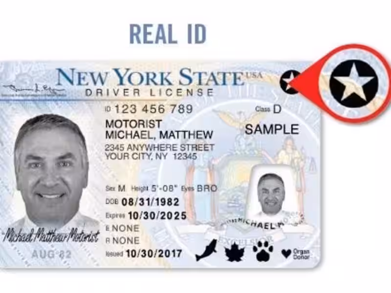 how-long-does-a-temporary-visitorslicense-last-in-nys