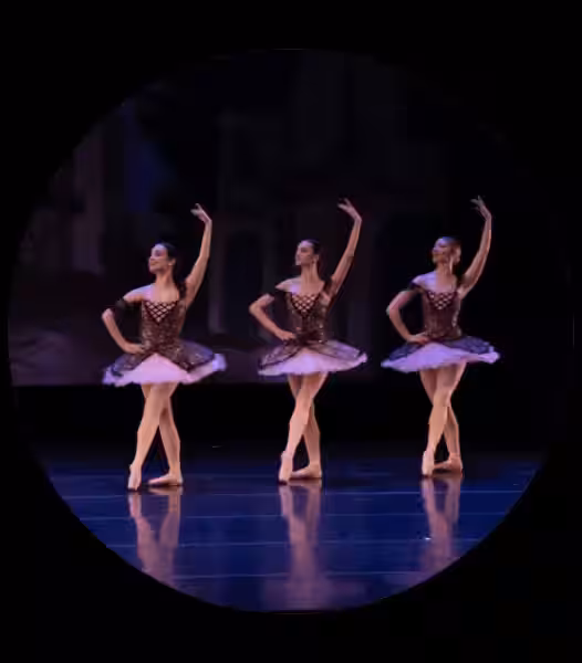 nm-ballet-company