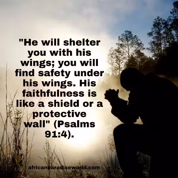 provide-protection